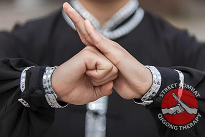 NJ Wing Chun Kung Fu Class